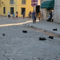 33-Umgebung Hotel Raquel